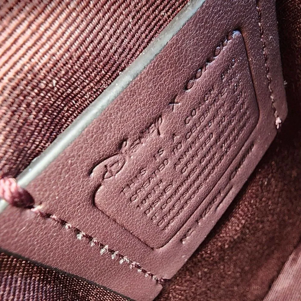 Coach disney canteen